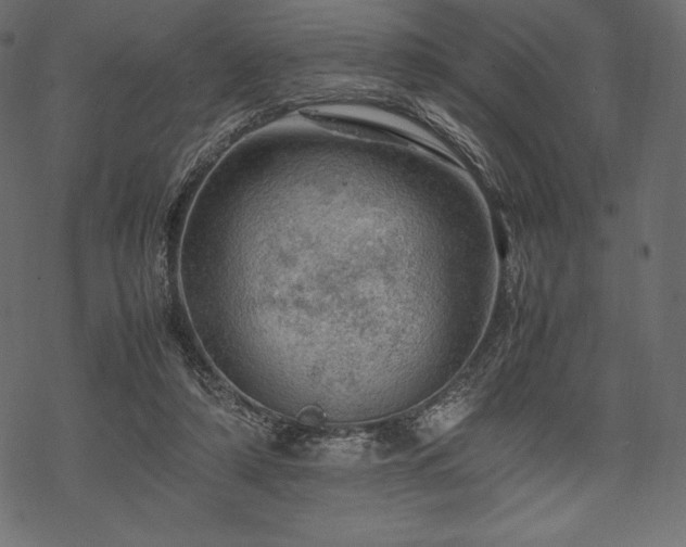 X0000070190306200605301319