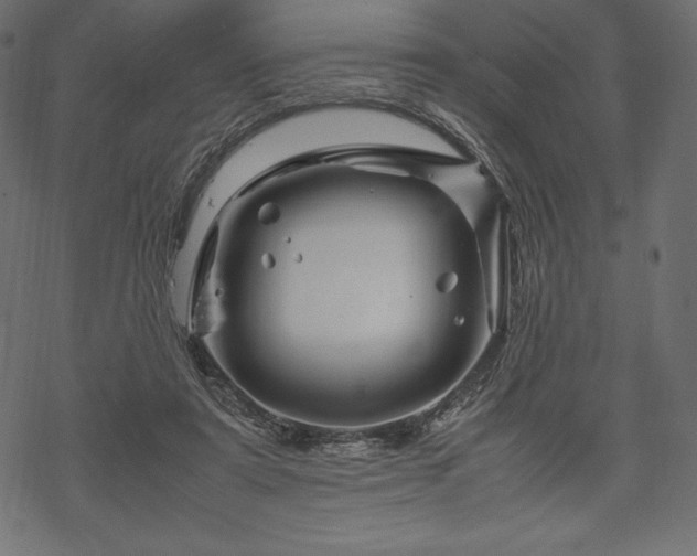 X0000070190307200605301319