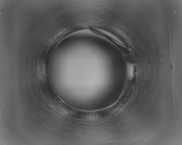 X0000070190308200605301319