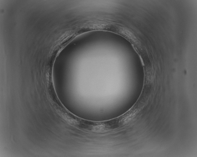 X0000070190309200605301319