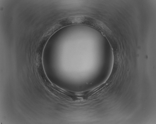 X0000070190311200605301319