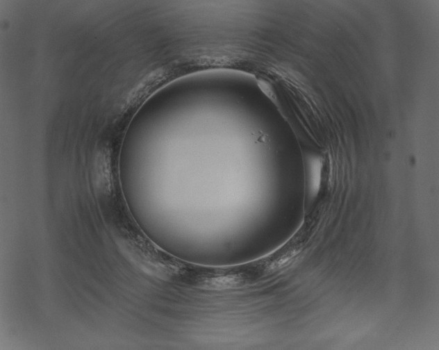 X0000070190312200605301319