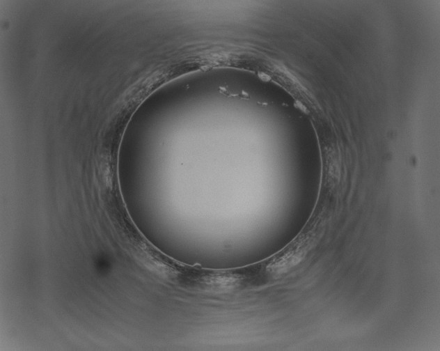 X0000070190313200605301319