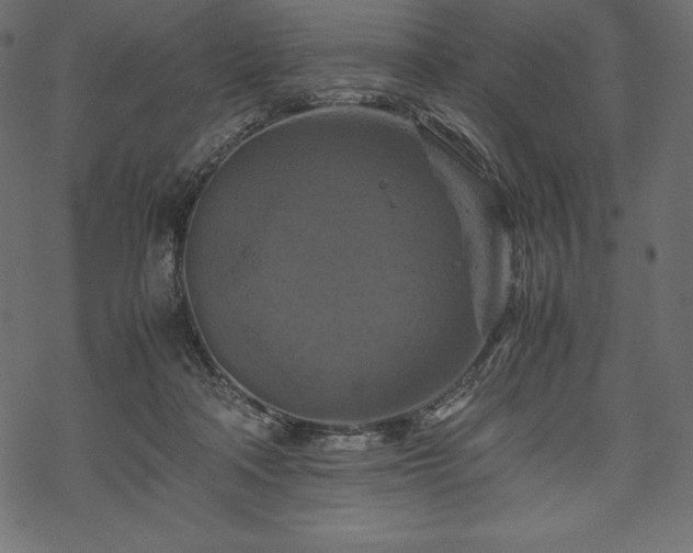 X0000070190314200605301319