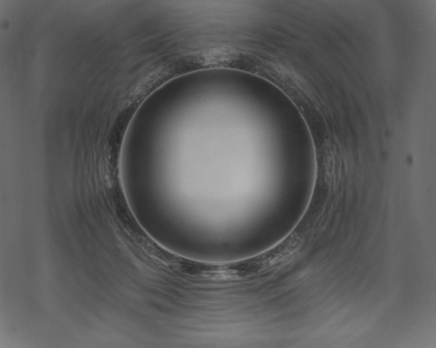 X0000070190316200605301319