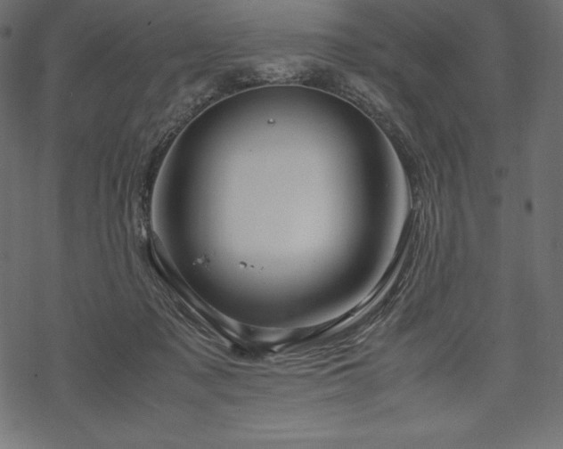 X0000070190317200605301319