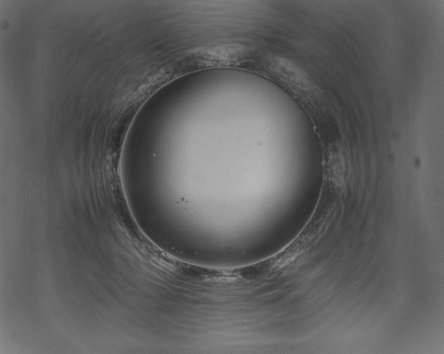 X0000070190318200605301319