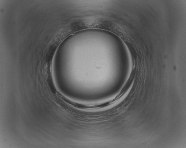 X0000070190319200605301319