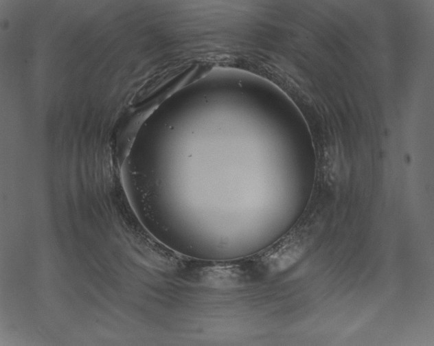 X0000070190320200605301319