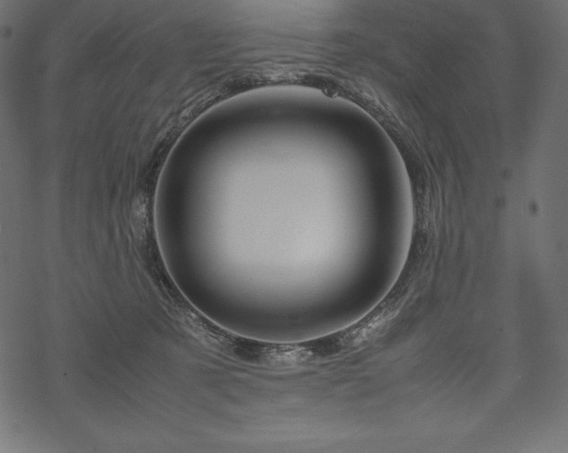 X0000070190321200605301319