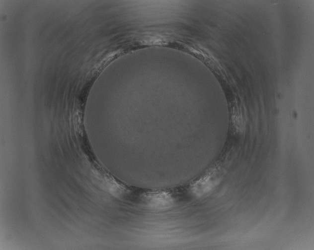 X0000070190322200605301319