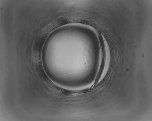 X0000070190323200605301319