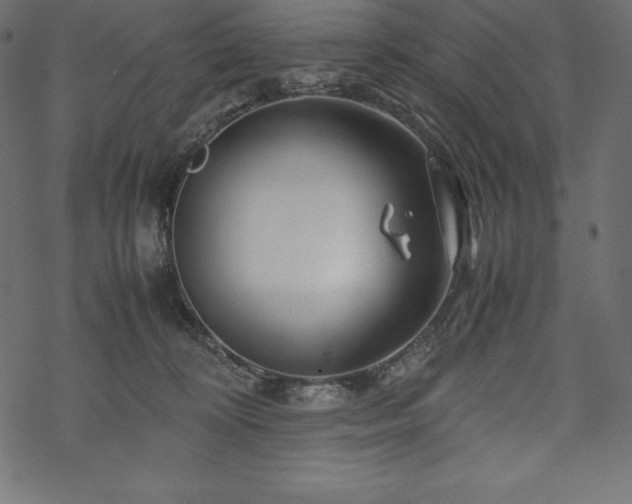 X0000070190324200605301319