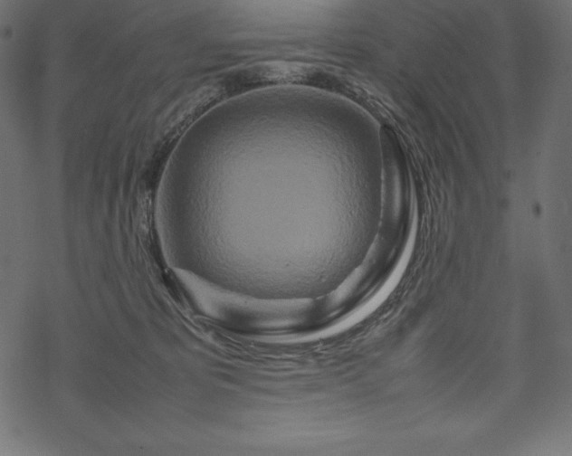 X0000070190325200605301319