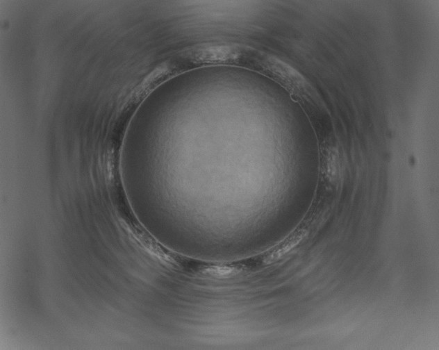 X0000070190326200605301319