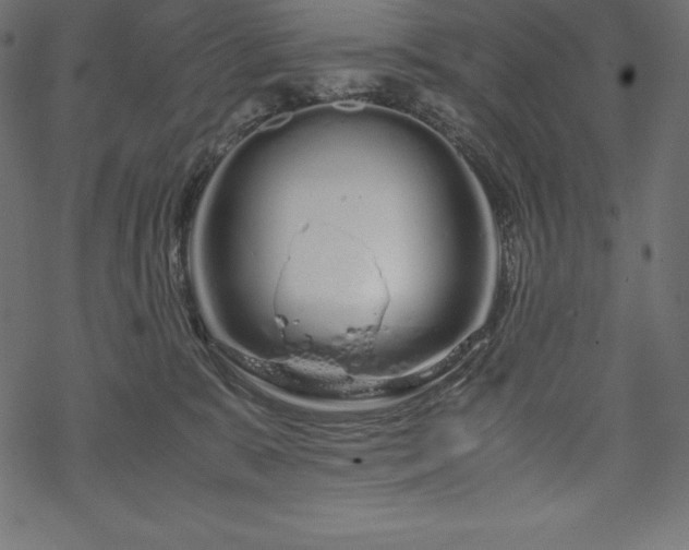 X0000070190327200605301319