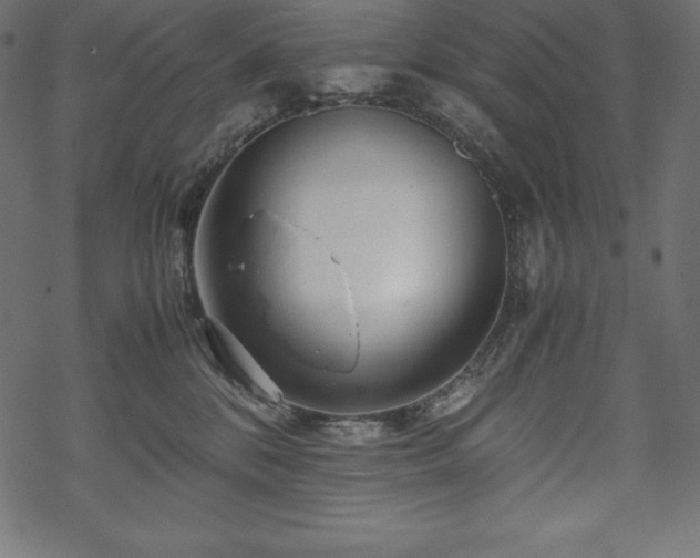 X0000070190328200605301319