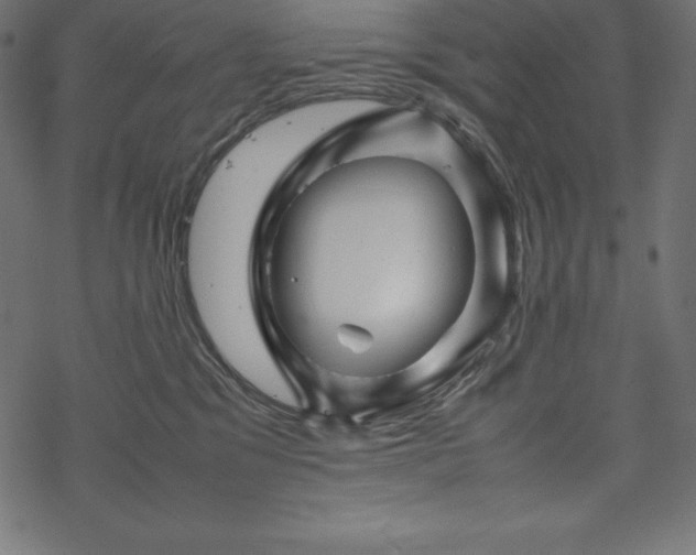 X0000070190329200605301319