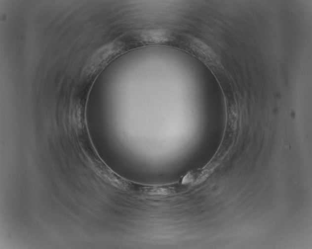 X0000070190330200605301319