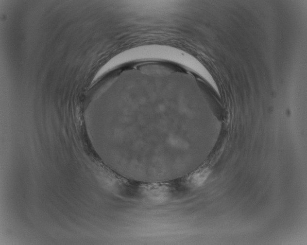 X0000070190331200605301319