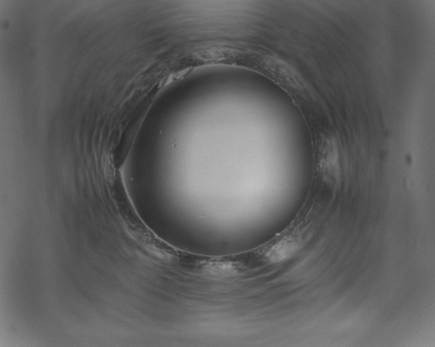 X0000070190332200605301319