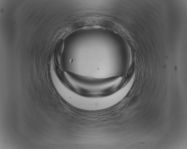 X0000070190333200605301319