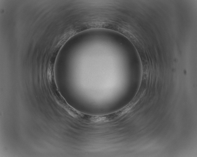 X0000070190334200605301319