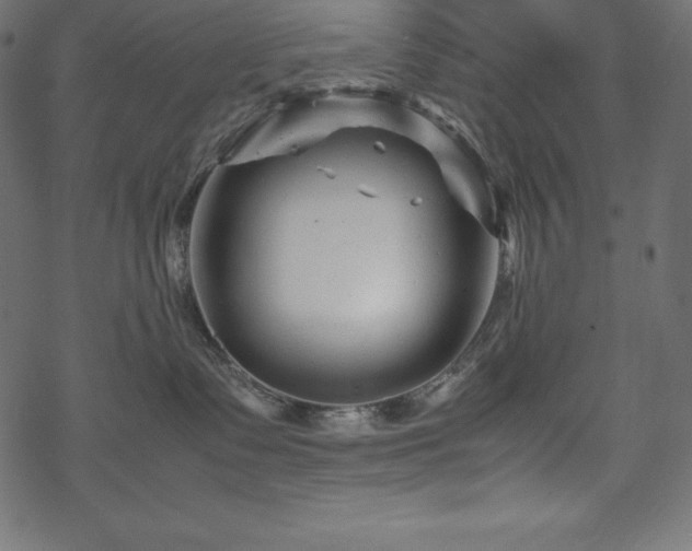 X0000070190335200605301319