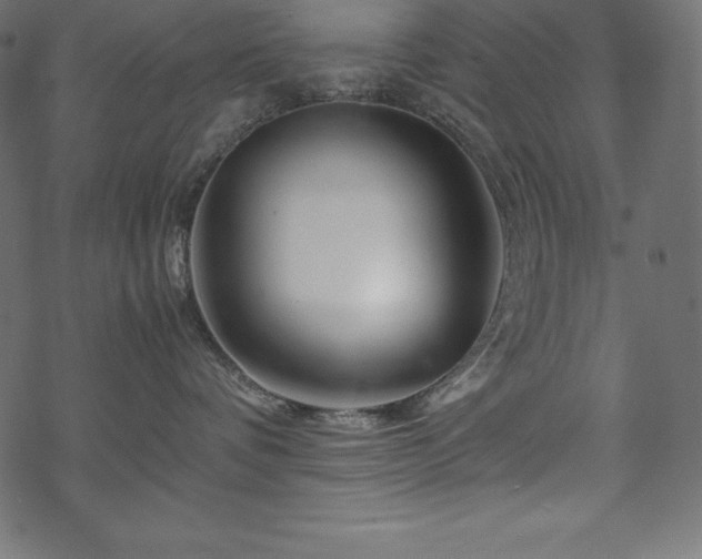 X0000070190336200605301319