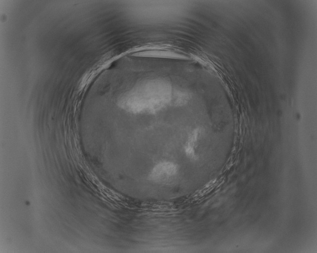 X0000070190337200605301318