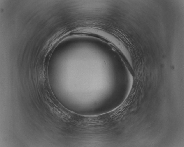 X0000070190338200605301318