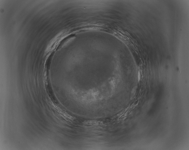 X0000070190339200605301318