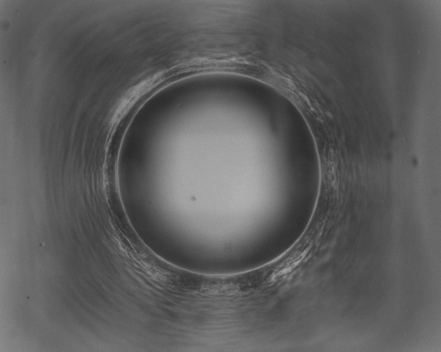 X0000070190340200605301318