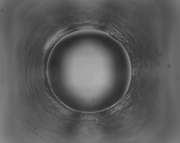 X0000070190341200605301318