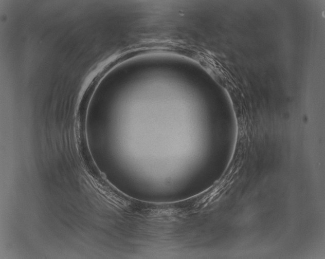 X0000070190342200605301318