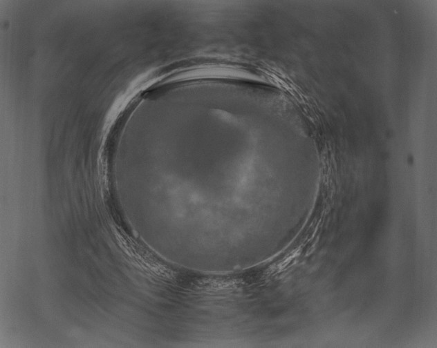 X0000070190343200605301318