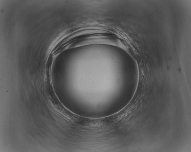 X0000070190344200605301318