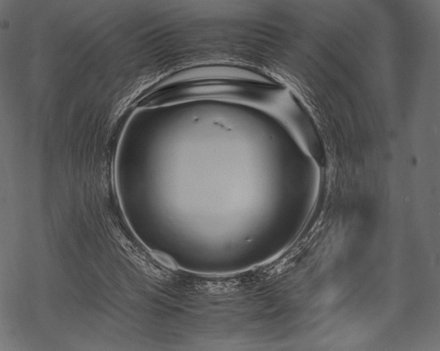 X0000070190345200605301318