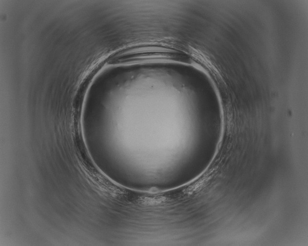 X0000070190346200605301318