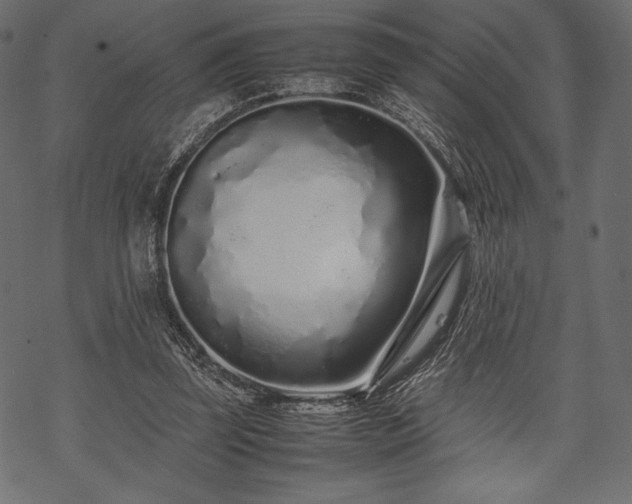 X0000070190347200605301318