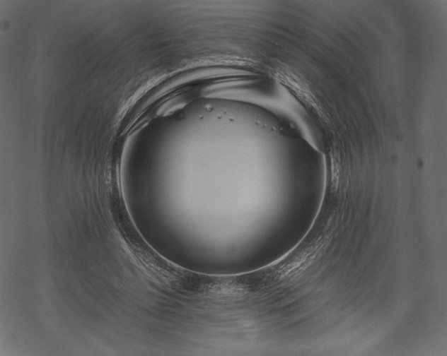 X0000070190348200605301318