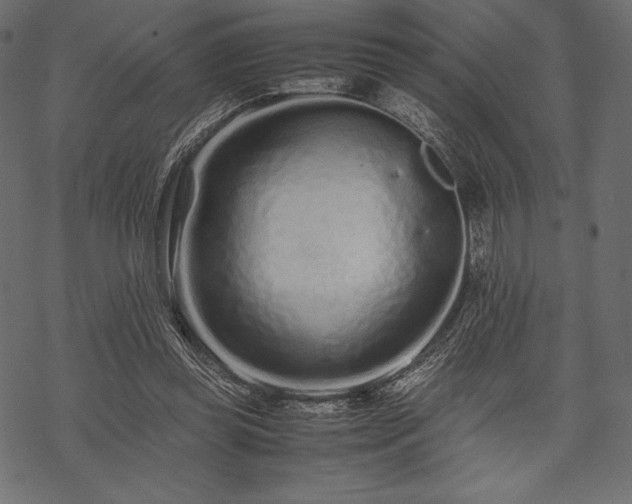 X0000070190349200605301318