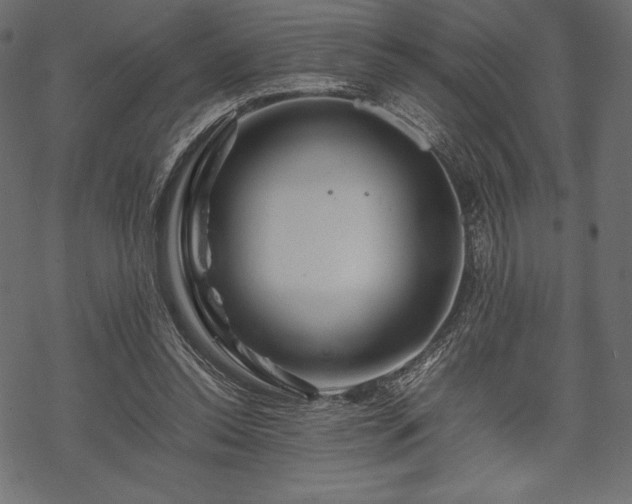 X0000070190350200605301318