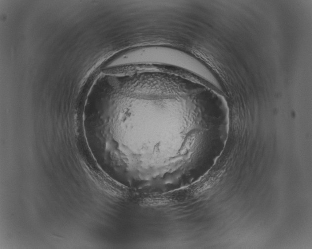 X0000070190351200605301318