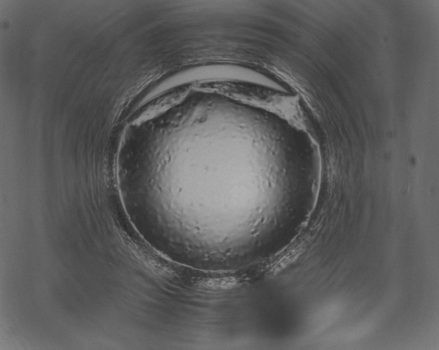 X0000070190353200605301318