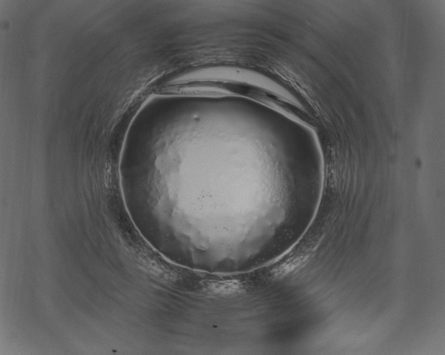 X0000070190355200605301318