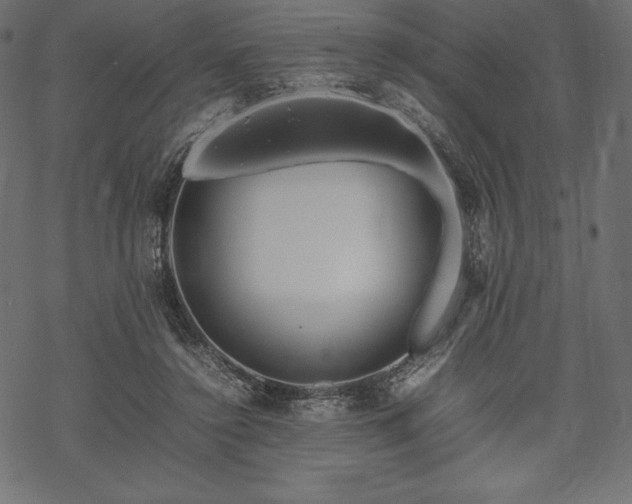 X0000070190356200605301318