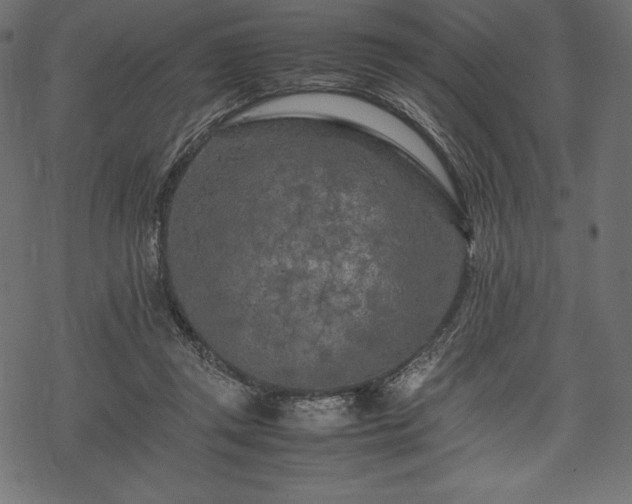 X0000070190357200605301318