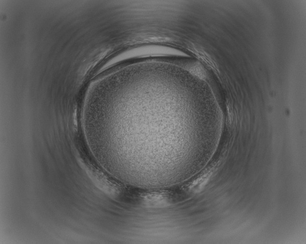 X0000070190358200605301318