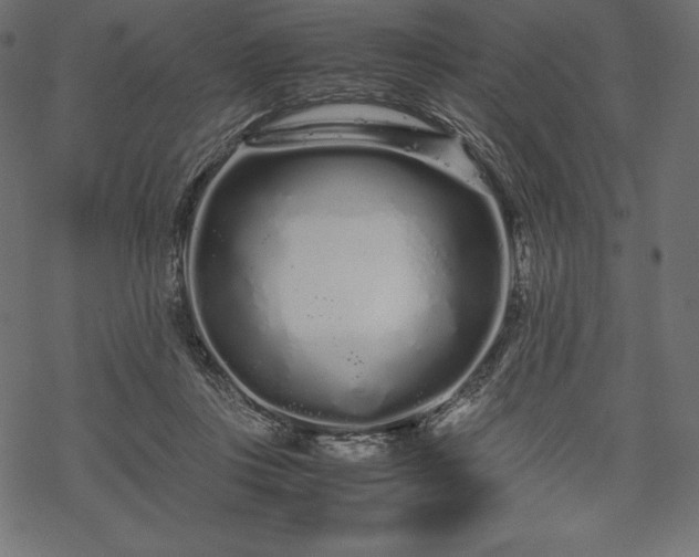 X0000070190359200605301318